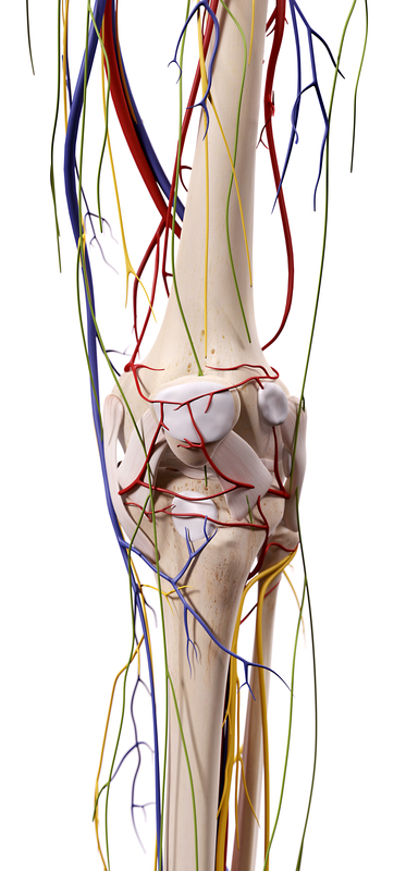 Genicular Nerve Blocks - Trinity Surgery Center 1