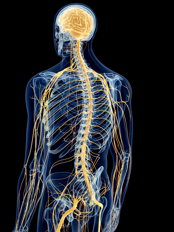 Medial Branch Blocks - Trinity Surgery Center (2)