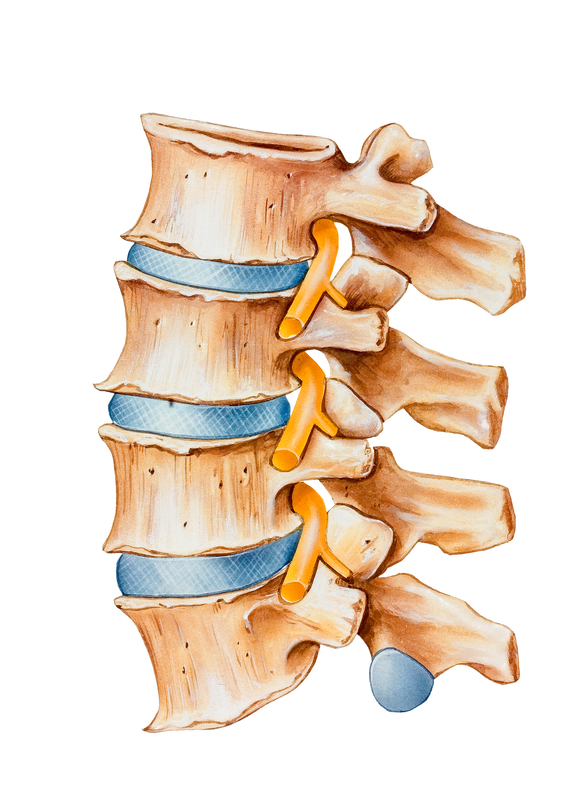 Selective Nerve Root Blocks - Trinity Surgery Center-1