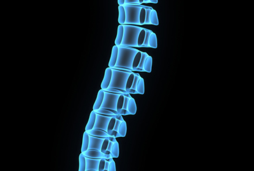 Spinal Cord Stimulation - Procedures